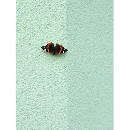 Mellumplate 4 Comfortable بيت للعطل