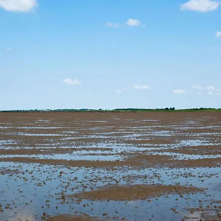 Mellumplate 4 Comfortable *