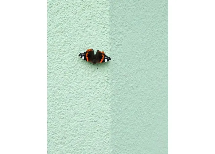 Mellumplate 4 Comfortable Дом отдыха