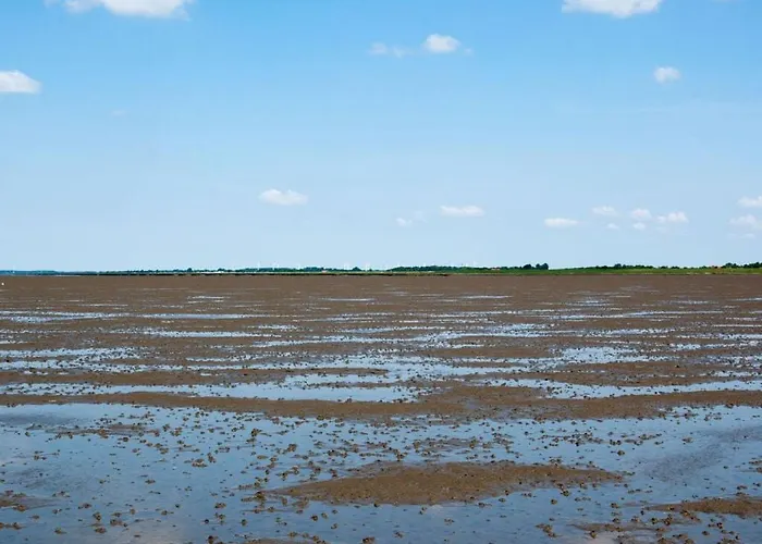 Mellumplate 4 Comfortable *